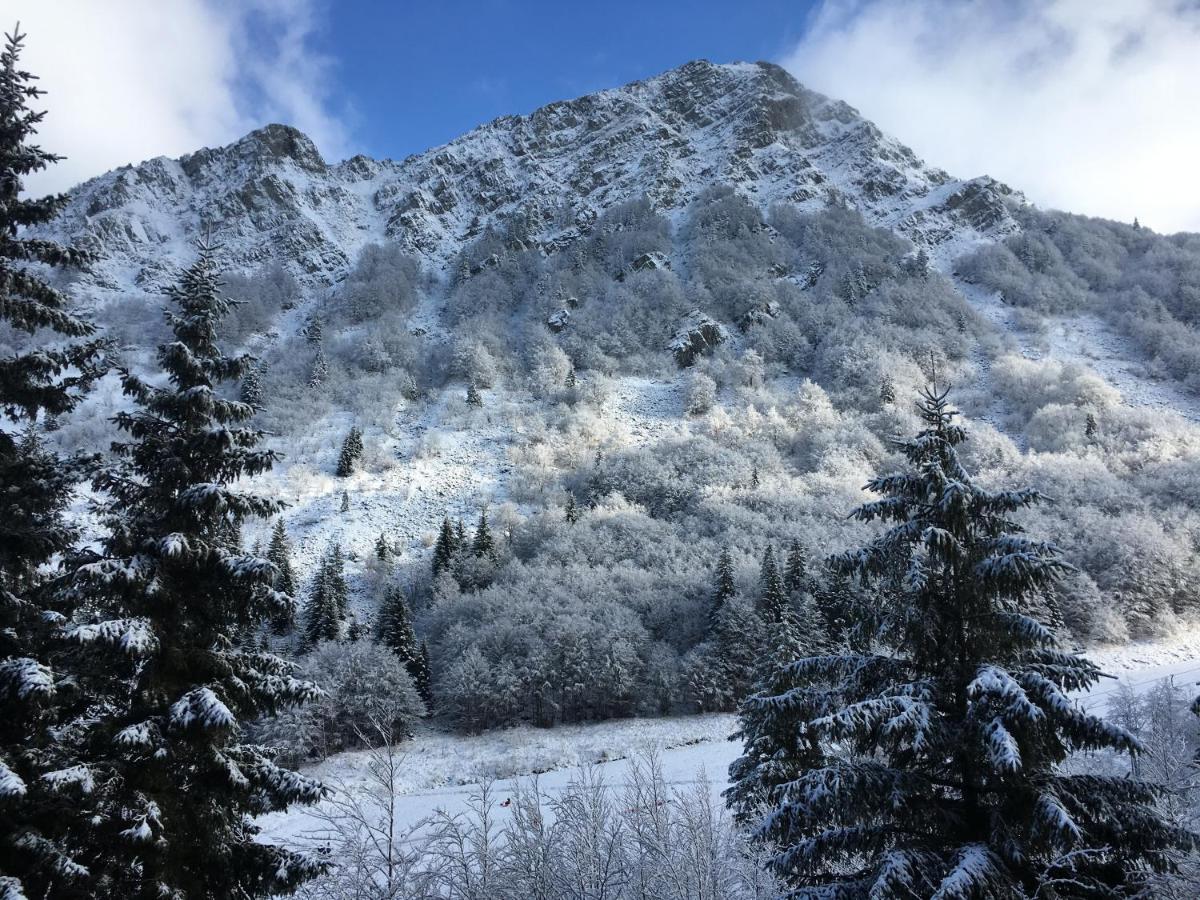 Val Di Luce - Delizioso Appartamento 6 Posti Letto - Accesso Diretto Alle Piste Da Sci Абетоне Екстер'єр фото